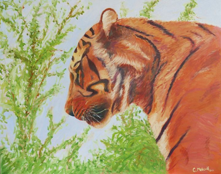 The Watchful Hunter (Tiger) - Chris Metcalf