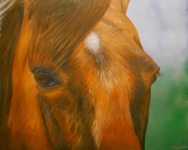 Determination Chris Metcalf Paintings Prints Animals Birds Fish Horses Artpal