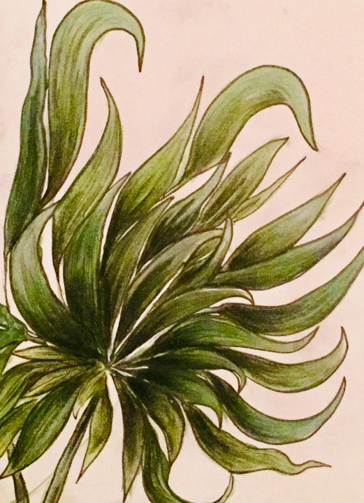 Wavy Kelp-Like Plant - Pioneer Artworks