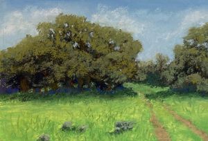 Texas Hill Country-Oak Trees in Spri