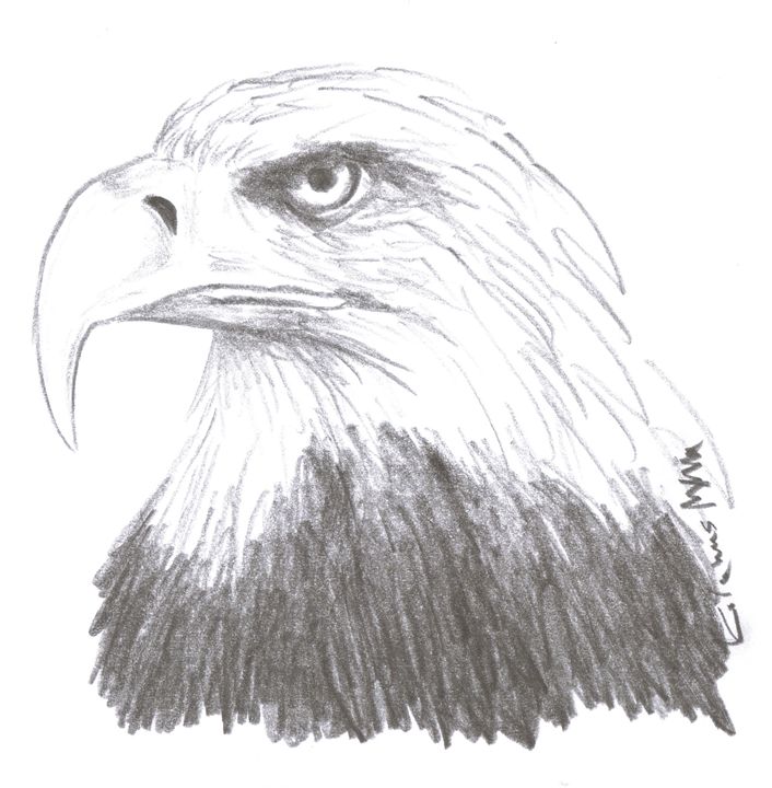 An American Eagle - Printable Drawings - Drawings & Illustration ...