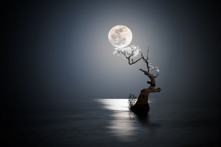 touch the moon - iD's - Digital Art & AI, Fantasy & Mythology