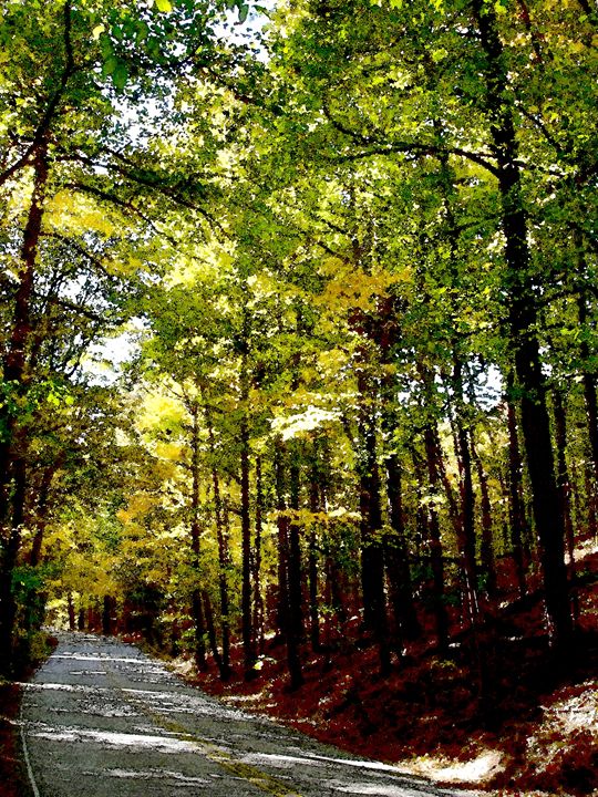 Oak Mountain 0152 Bill Love Photography, Landscapes & Nature