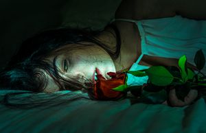 The Girl and the Rose