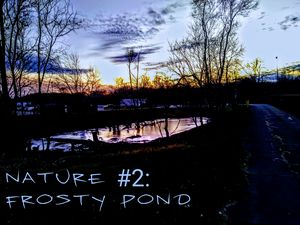 Nature #2: Frosty Pond