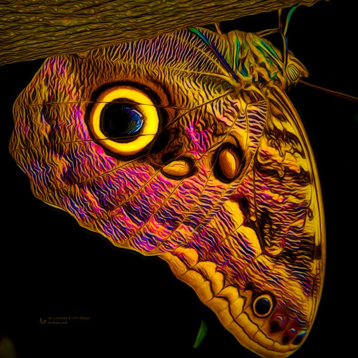 Butterfly Dreams - ArcheanArt