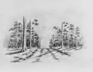 Road to Buddha's Farm