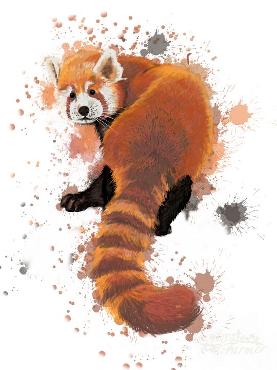 Red Panda #1 - The Artsi Farmer