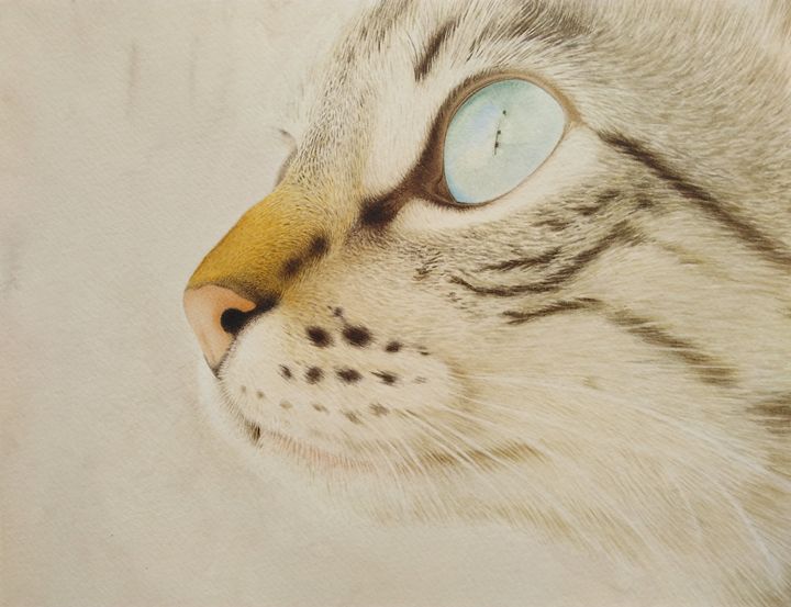Chat De Profil Chris Art Paintings Prints Animals Birds Fish Cats Kittens Other Cats Kittens Artpal