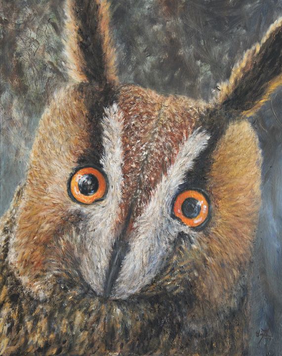 Long-Eared Owl - Elin Johnsen Art