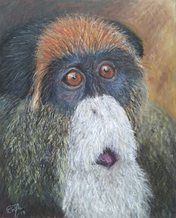 De Brazza's Monkey