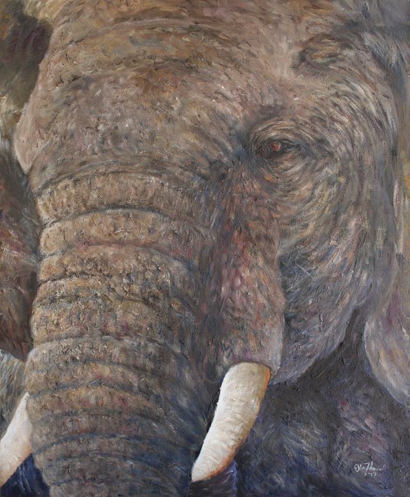 African Elephant - Elin Johnsen Art