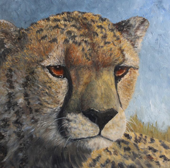 Cheetah (Acinonyx jubatus) - Elin Johnsen Art
