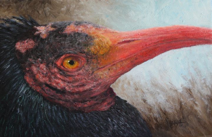 Northern Bald Ibis - Elin Johnsen Art
