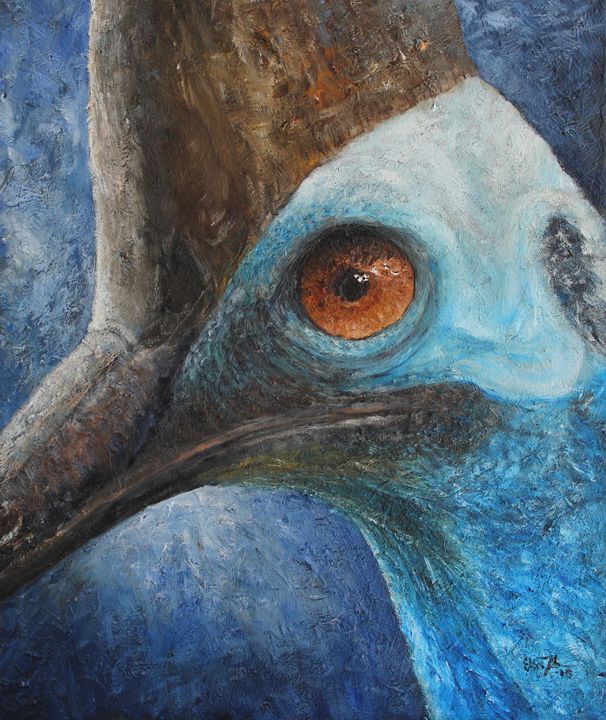 Southern cassowary - Elin Johnsen Art