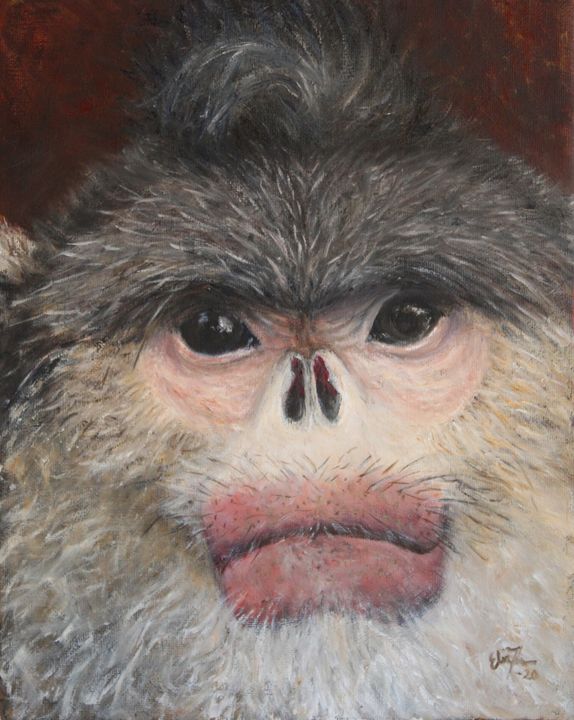 Black Snub-Nosed Monkey - Elin Johnsen Art