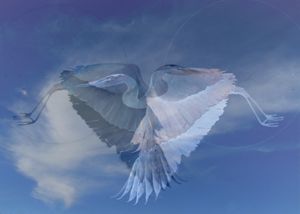 Herons' Heart