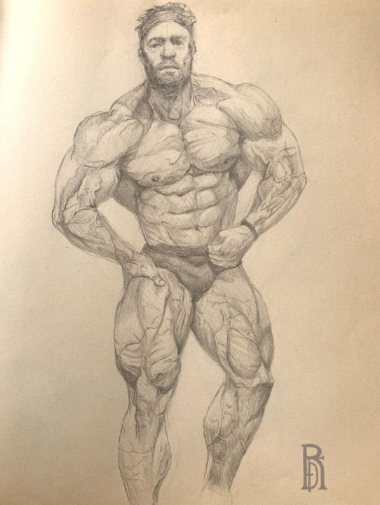 bodybuilding pencil drawing