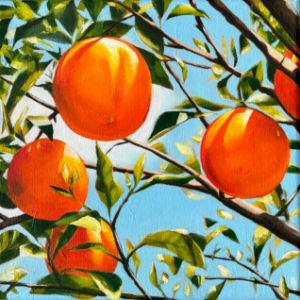 Sunny Oranges - HANNA YEULAKOVA