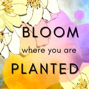 Bloom Where You Are Planted - Tina Mitchell Art