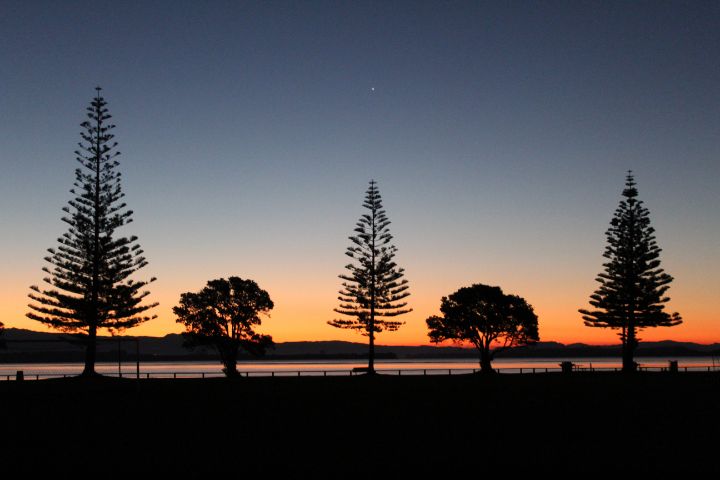 Sunset behind five trees LaVerne by Nature Photography