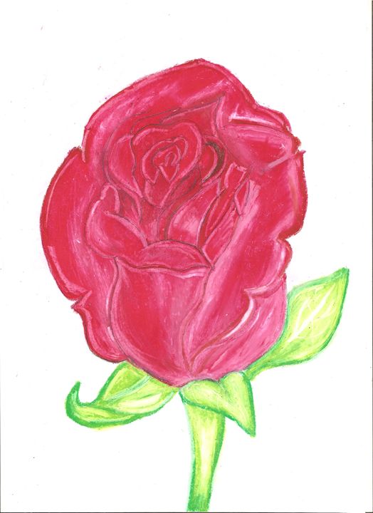 Oil Pastel Rose - ImmortalIris