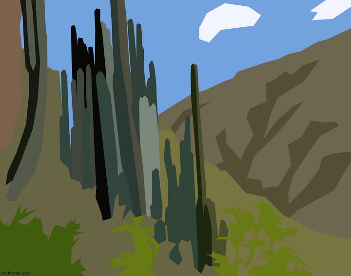 Cactus Plants - John Churchill