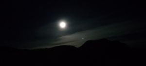 Moonlight desert