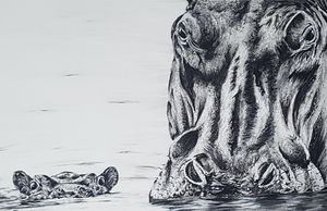 Hippos