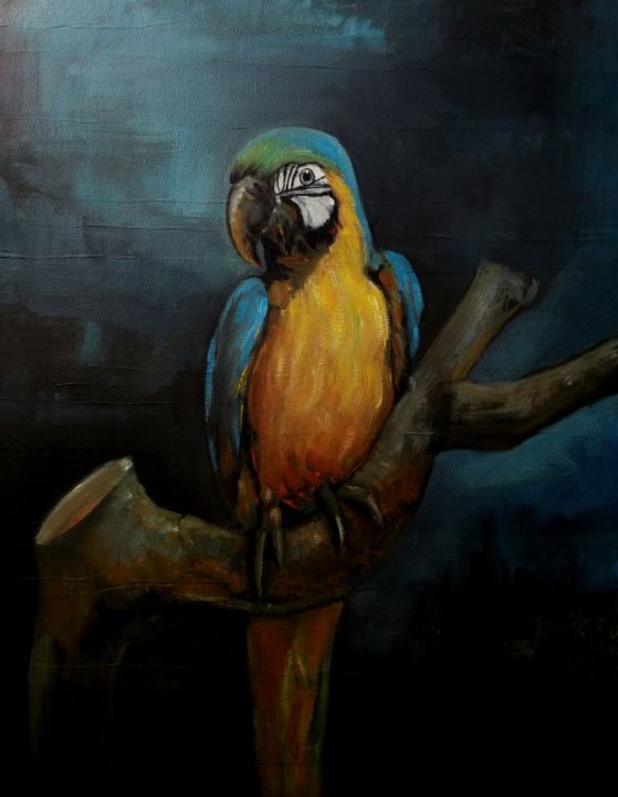 WBA- Looking Parrot - Winter Blue Art