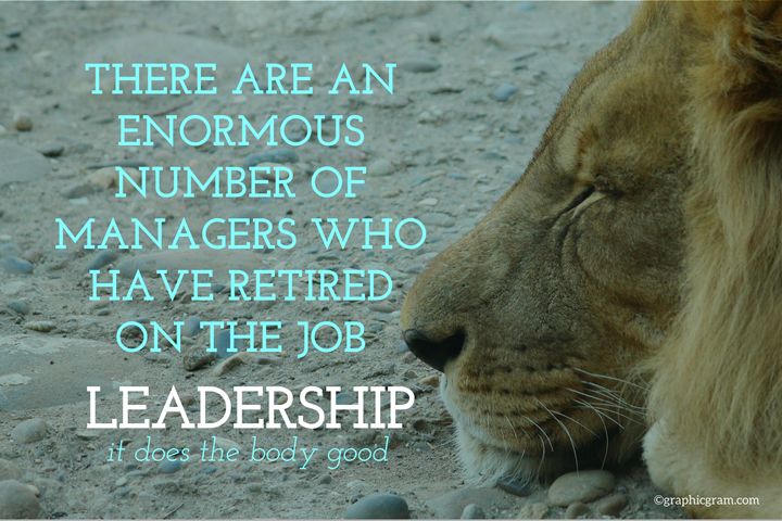 Leadership - Graphic Gram