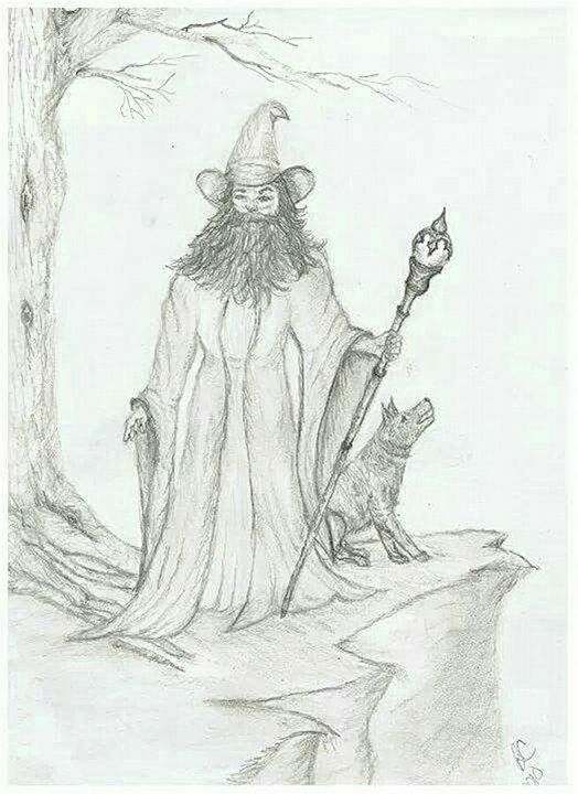 The wizard - Becky Crouch