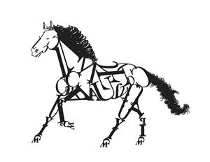 Typography Horse