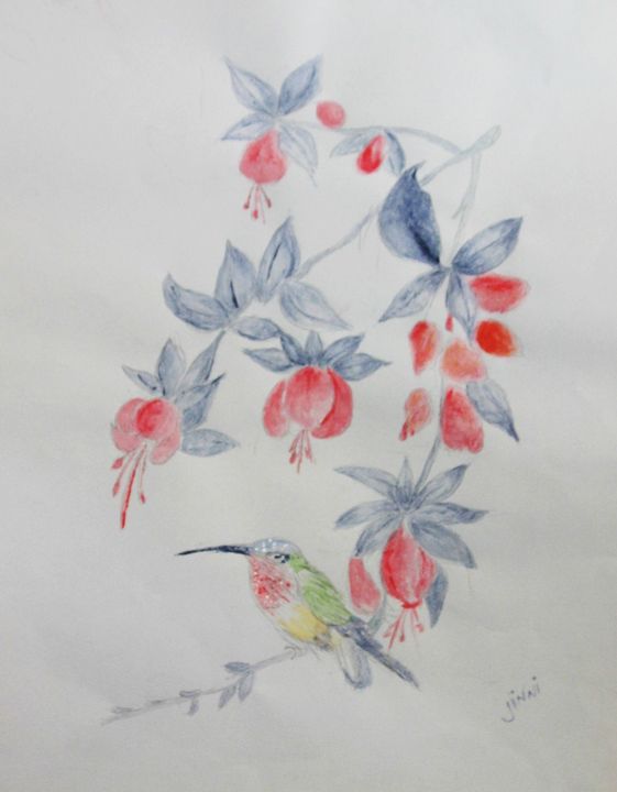 Hummingbird and Fuchsia Flowers - Jinni's Art