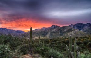 Saguaro Lighthouse