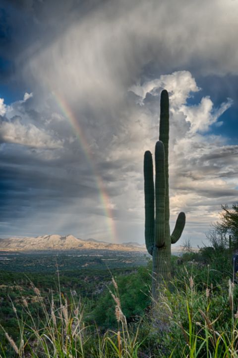 Rainbow Overlook - Alolkoy Photography