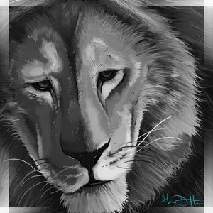 The Thoughtful Lion's Gaze