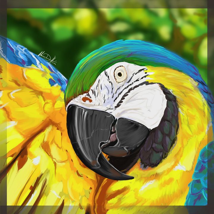 The Vibrant Macaw - Inspirational Wonders of Nature, by ArceeTheVixen