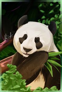 Buy Panda, Bears, Animals, Birds, & Fish, Digital Art at ArtPal