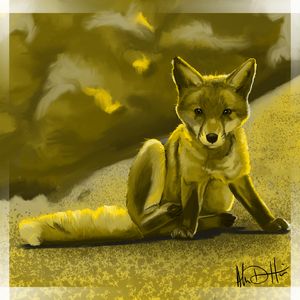 The Fox Kit's Sit