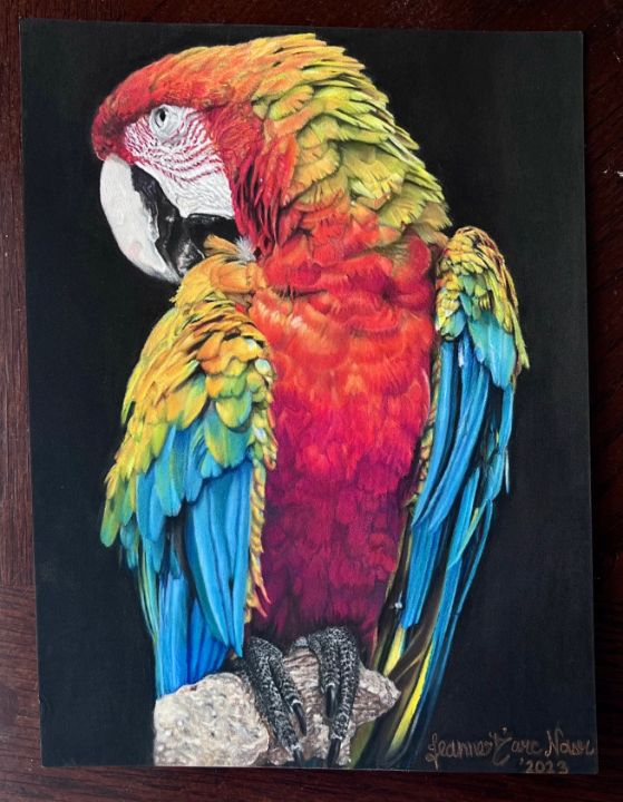 絵画 type ll Parrot 絵画 type ll Parrot 絵画 type ll Parrot