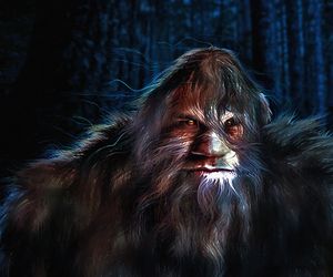 Bigfoot 23 Moonlight - LukeAhearn