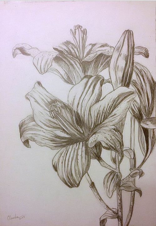 Lilies - Claudia - Drawings & Illustration, Flowers, Plants, & Trees ...