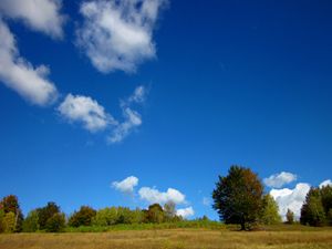 Nature landscape