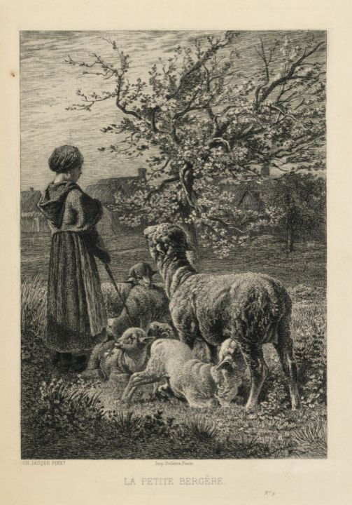 Petits Soldats Freakenstein