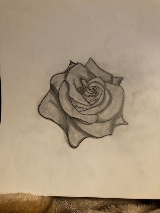 "A Rose for You" - Jenna Kolesnick