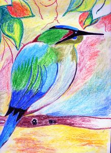 Color pencil art - Hems - Drawings & Illustration, Animals, Birds, & Fish,  Birds, Kingfisher - ArtPal