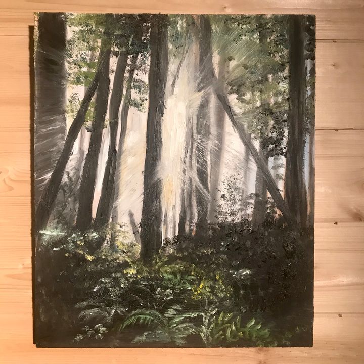 Redwood Forest Light - Art by Meredith Dickson - Paintings & Prints ...