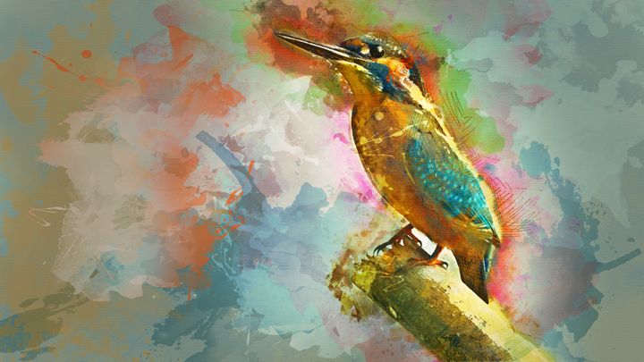 Bird Water color - Alan Thompson Art