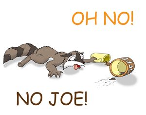 Oh no, no joe!